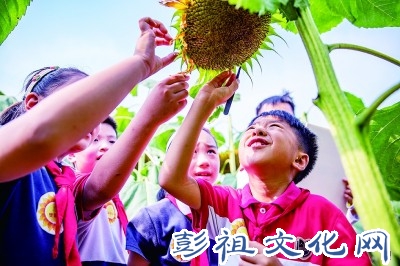从“能说会道”到“妙笔生花”，语文素养提升难在哪